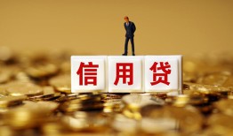东莞周转哪有个人借贷-东莞周转小额贷款公司-东莞周转私借空放免费上门